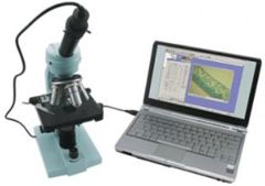 digital microscope