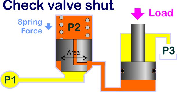 shut check valve